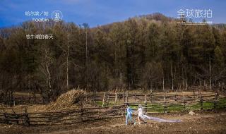 我要结婚了想到哈尔滨哪个婚纱,不知道哪有卖 哈尔滨婚纱摄影团购