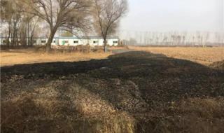 山西省文水有哪些中学 山西省吕梁市文水县