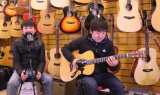 王力宏吉他型号 王力宏春晚吉他图片