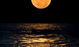 你跟今晚的月亮一样圆啥意思 月亮很圆是什么意思