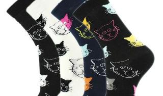 一千年一千年陪我过千年的歌是什么啊黎明的Happy-2000 happy2000