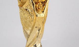 世界杯奖杯归谁 世界杯奖杯是个人还是团体